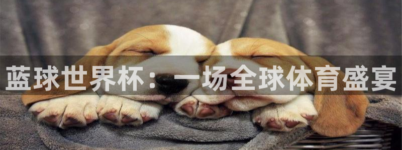 世界杯直播:蓝球世界杯:一场全球体育盛宴