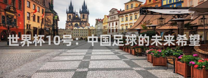 世界杯直播网站:世界杯10号:中国足球的未来希望