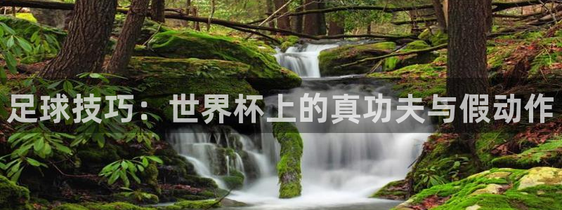 世界杯女足直播:足球技巧:世界杯上的真功夫与假动作