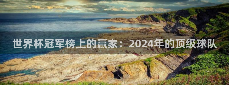 世界杯葡萄牙赛程:世界杯冠军榜上的赢家:2024年的顶级球队