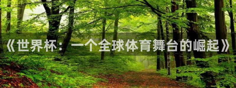 2026年世界杯赛程:《世界杯:一个全球体育舞台的崛起》