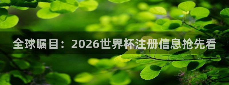 足球世界杯:全球瞩目:2026世界杯注册信息抢先看